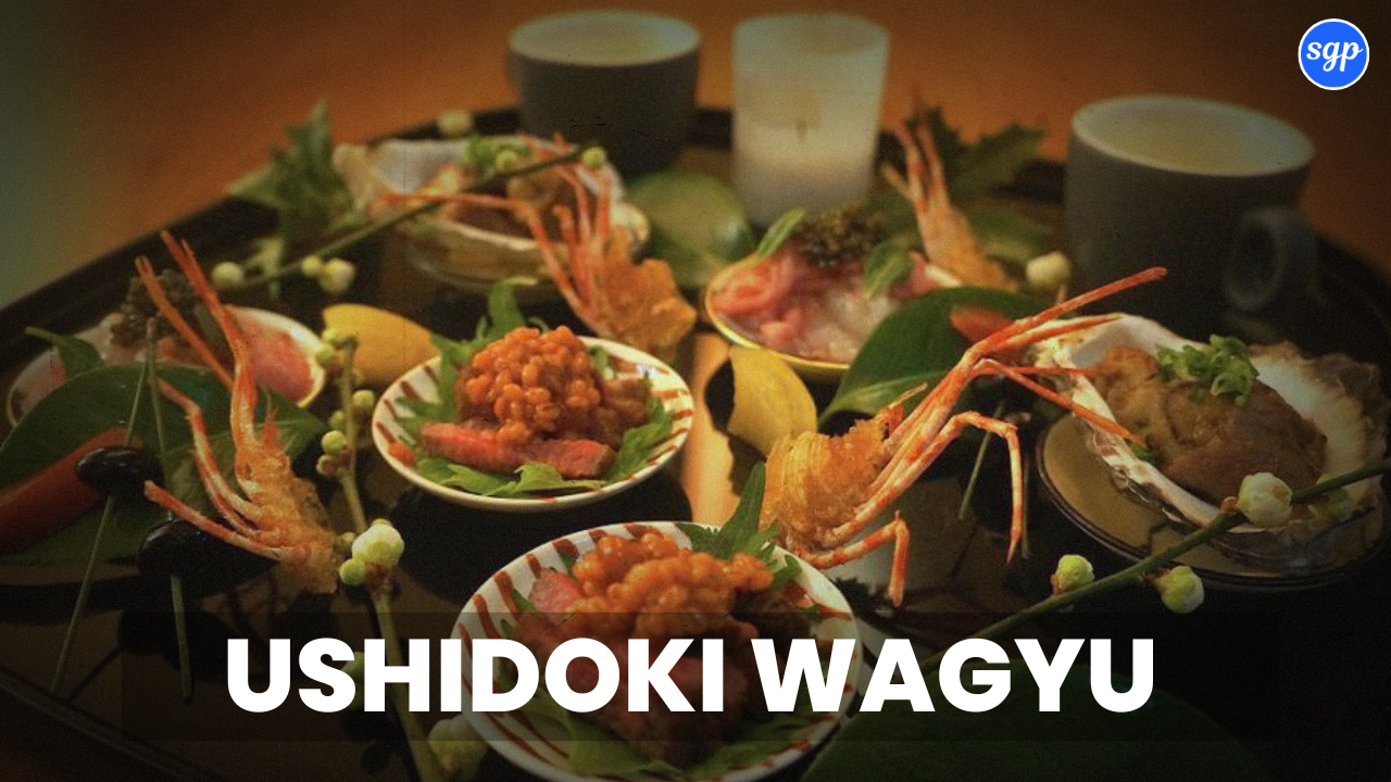 Ushidoki Wagyu Kaiseki Menu Singapore Prices